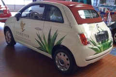 fiat-folierne-